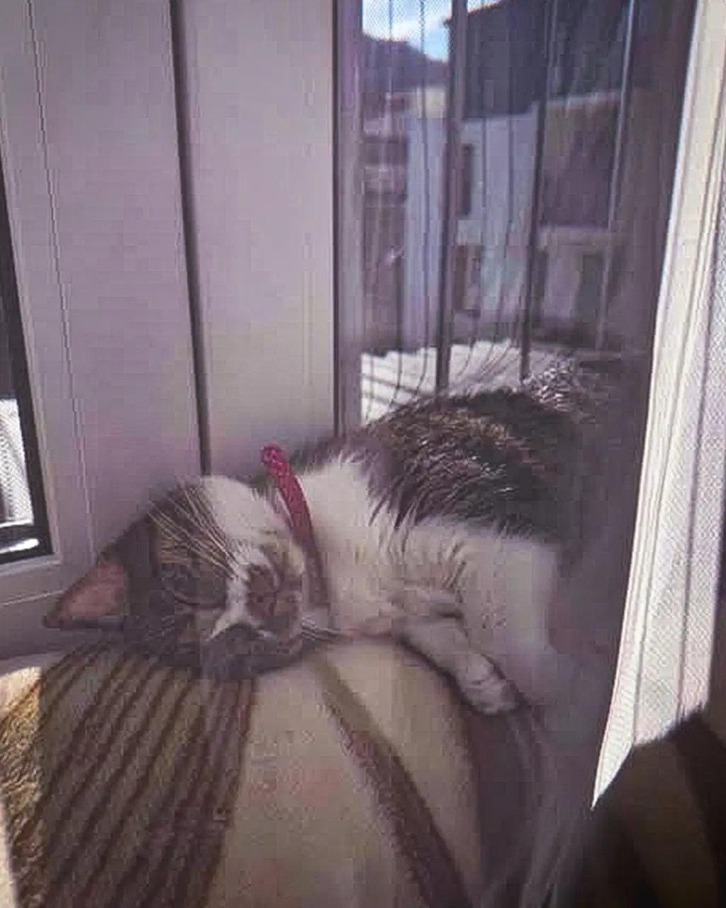 Fostering
