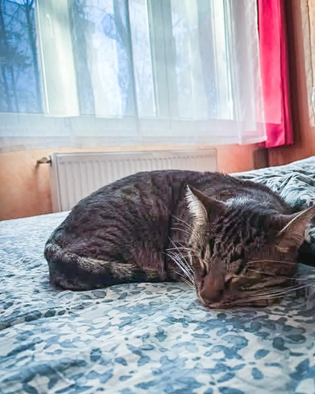 Fostering