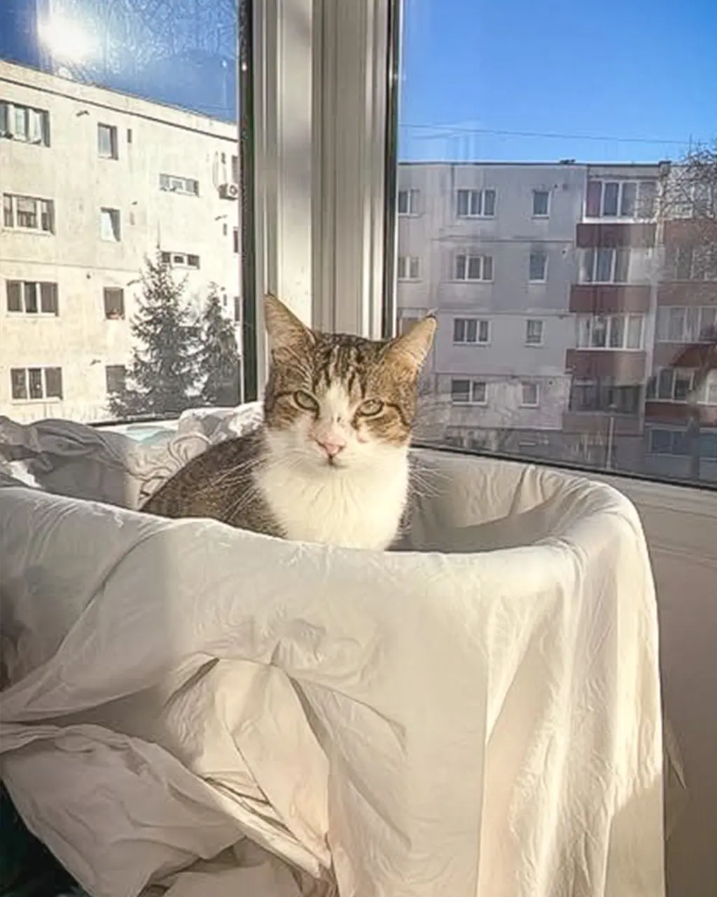 Fostering