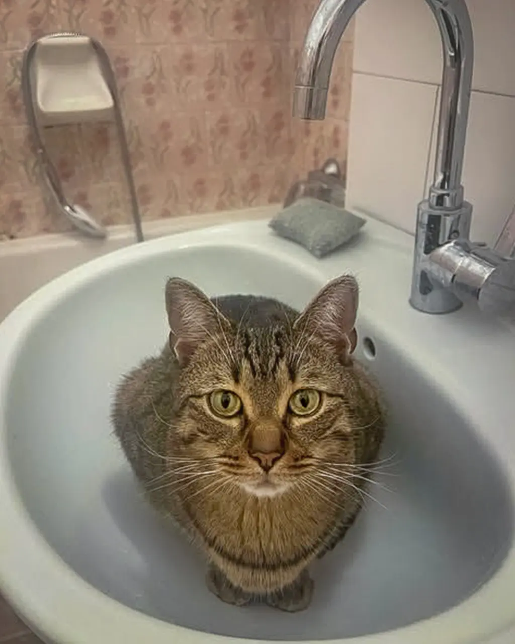 Fostering