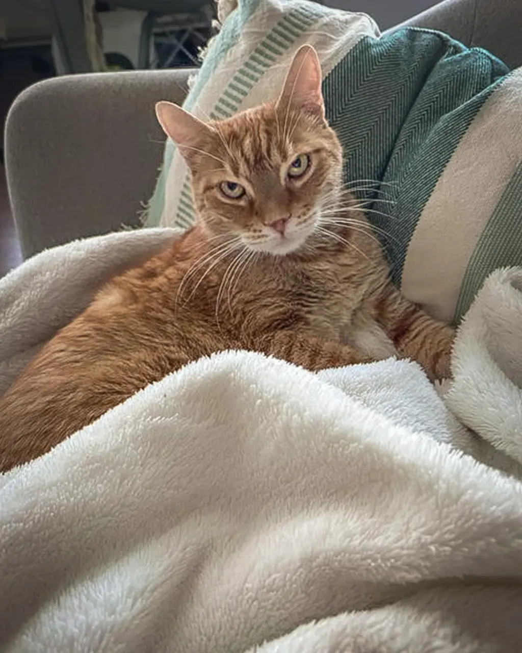 Fostering