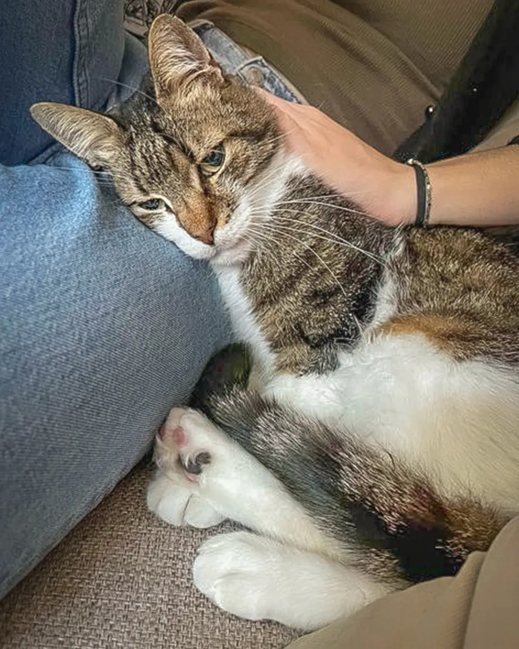 Fostering