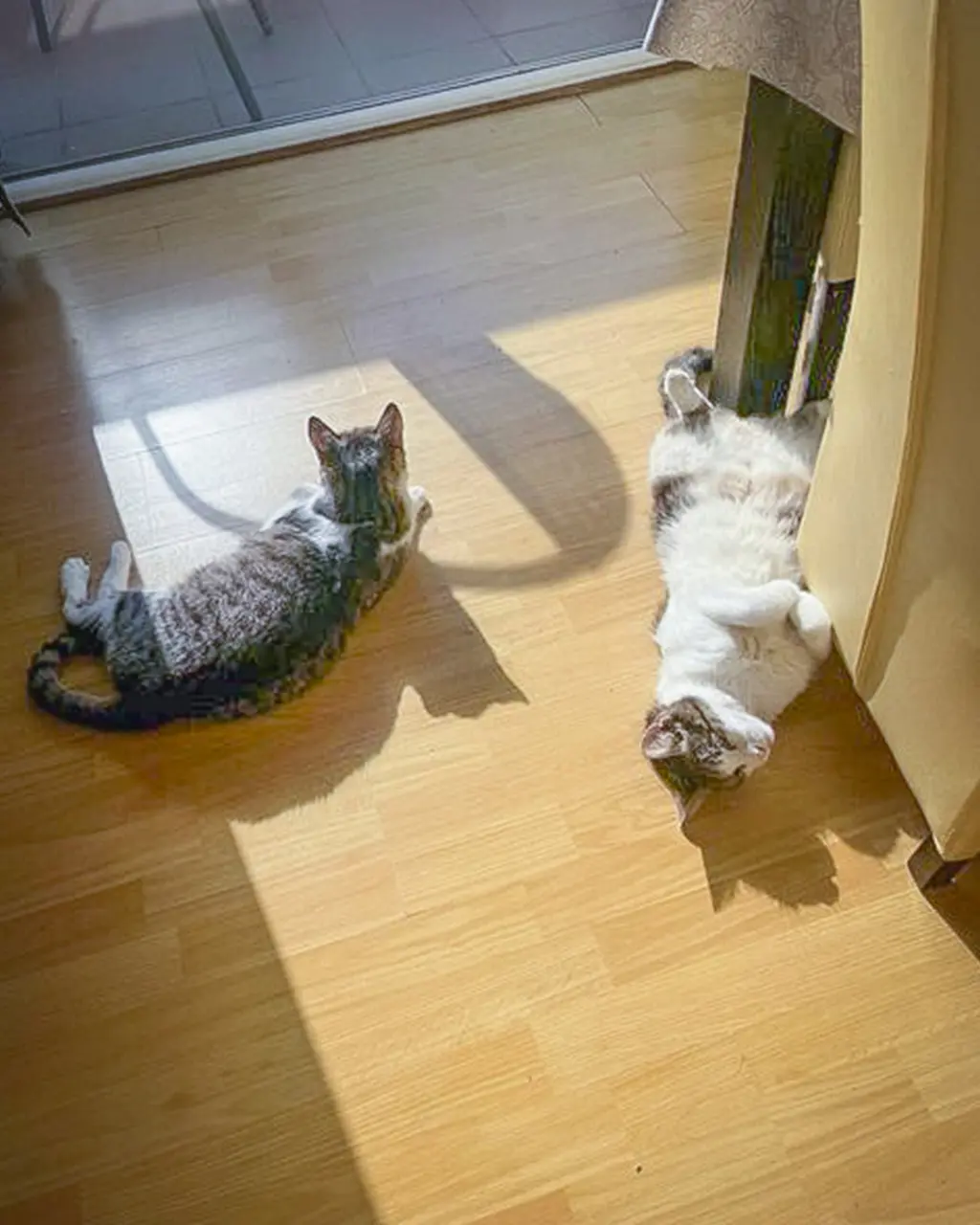 Fostering