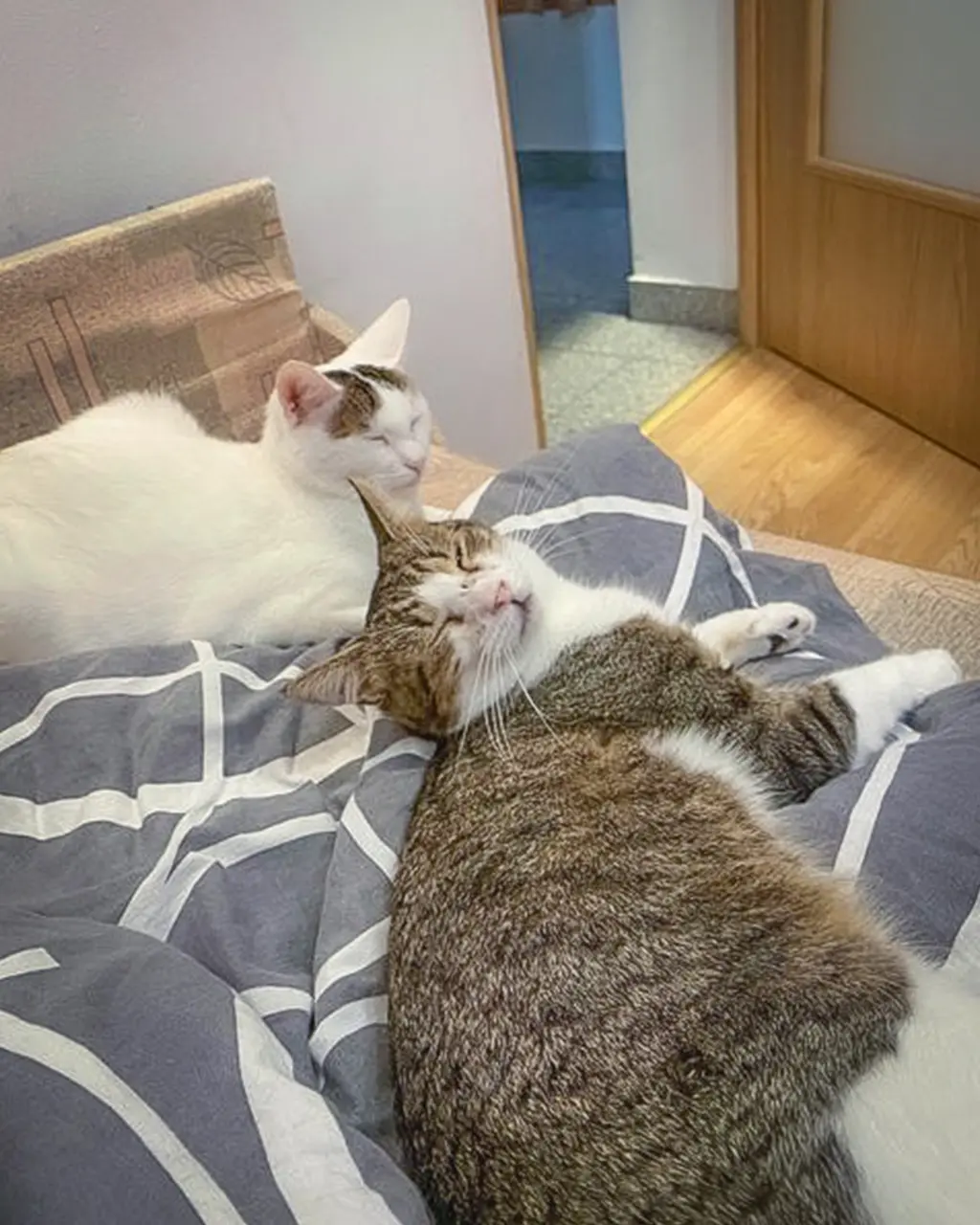 Fostering