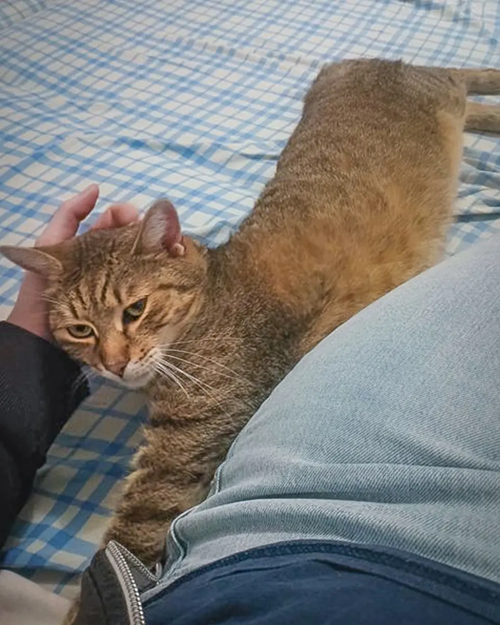 Fostering