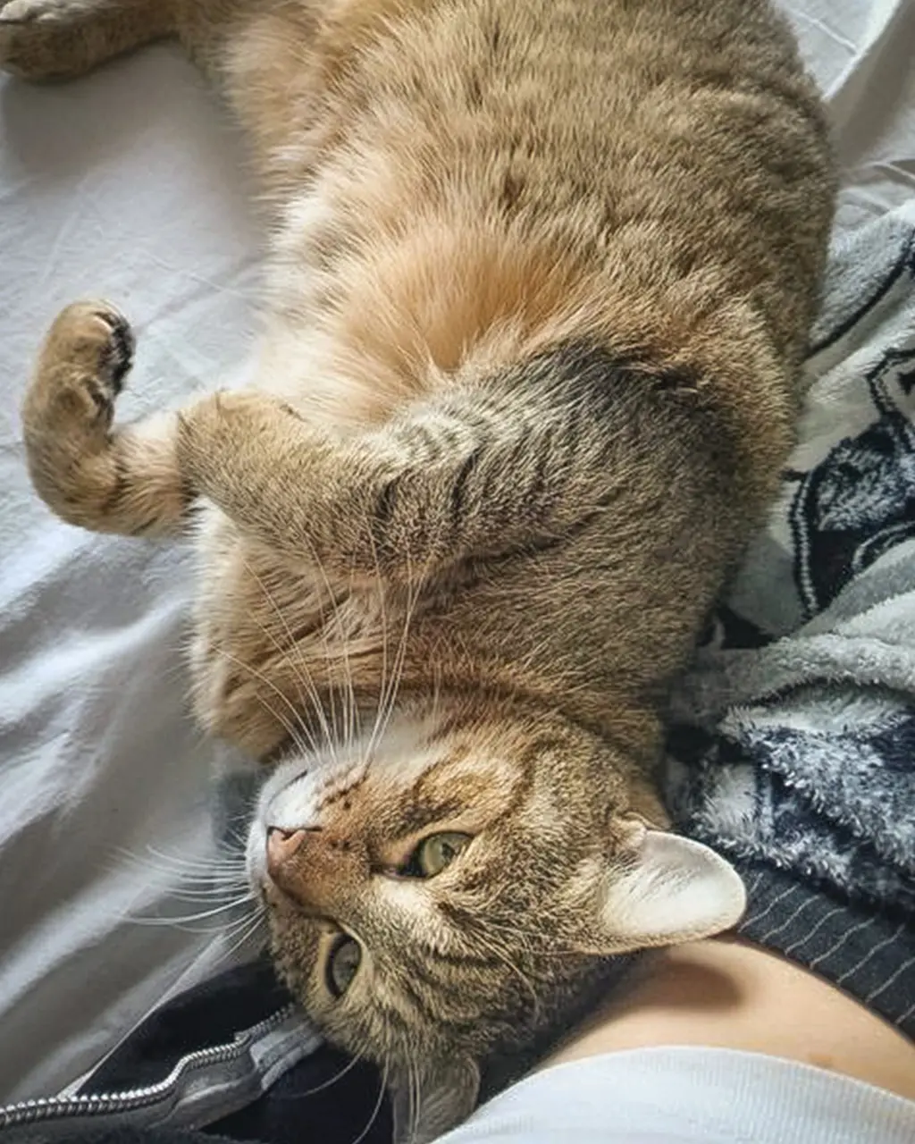 Fostering