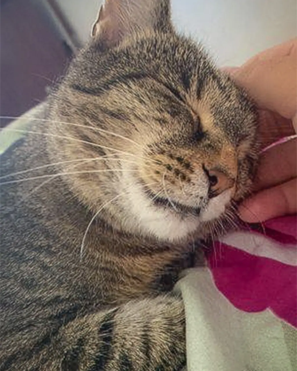 Fostering