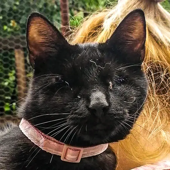 Pocahontas