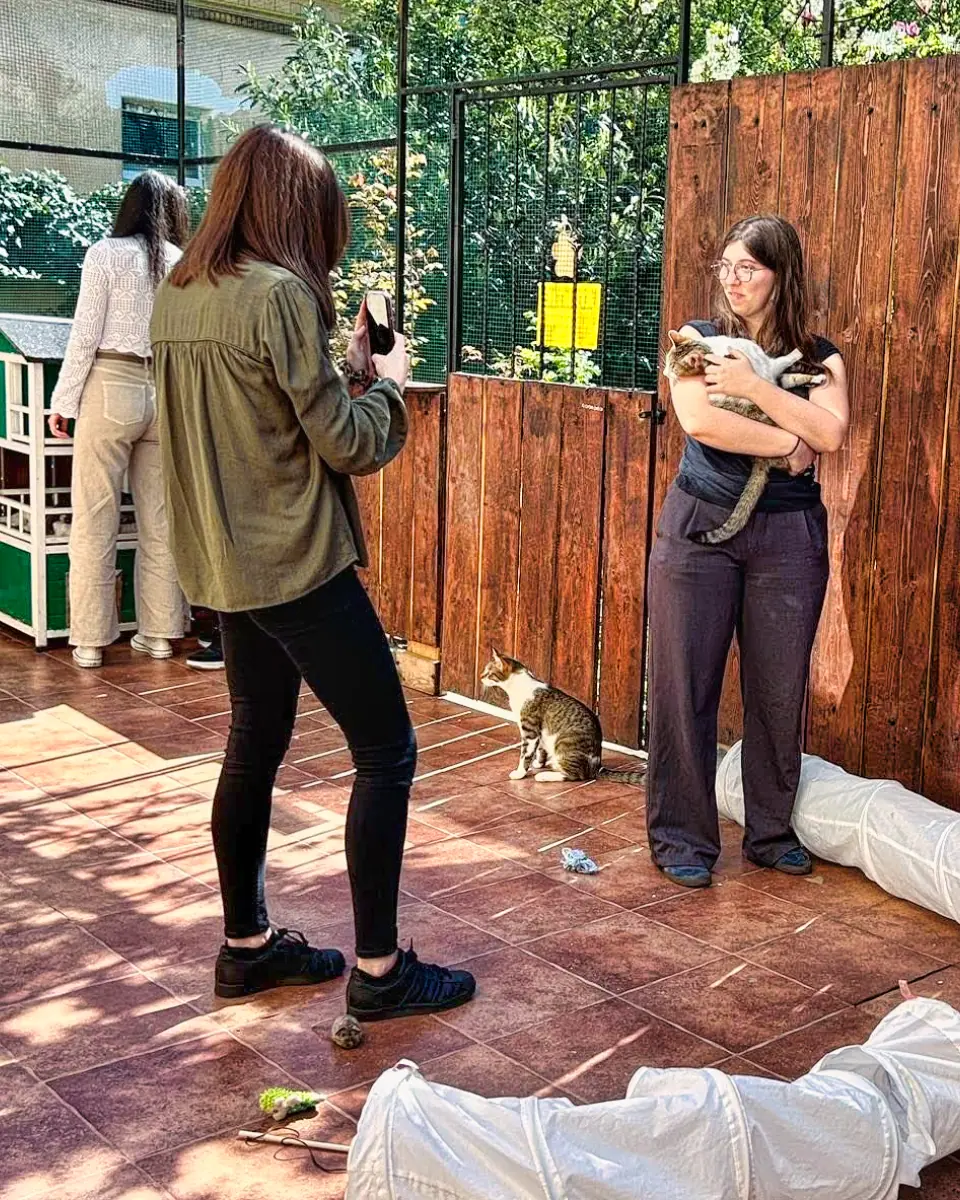 Mărțișoare pentru animale 2025