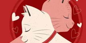 Cina de Valentine’s pentru pisiciile Green Cats