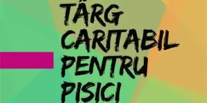 Târg caritabil Green Cats
