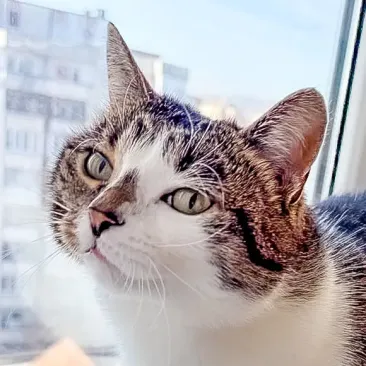 Zuka