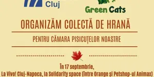 Colectă de hrană pentru pisicile Green Cats